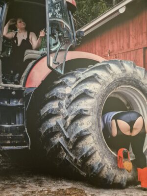 Taulu nro 2 Prinsessa ja Persikka