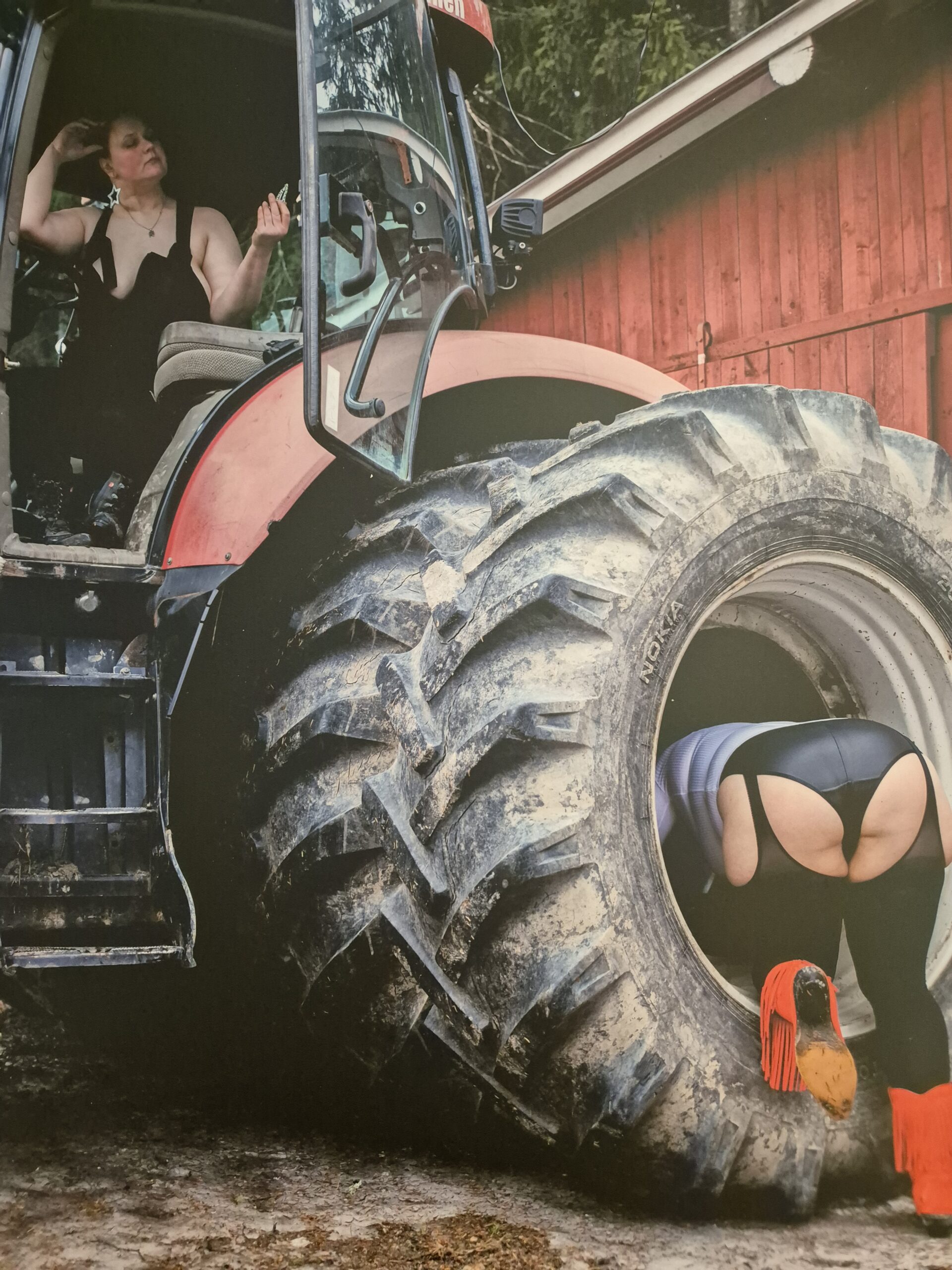 Taulu nro 2 Prinsessa ja Persikka