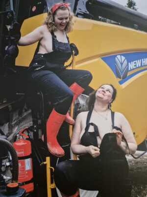 Taulu nro 5 Vilikasu