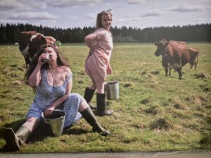 Taulu nro 6 Kylän paras lypsäjä